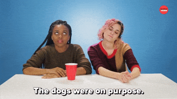 The Dogs Were On Purpose 