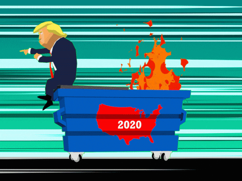 Election 2020 Trump GIF