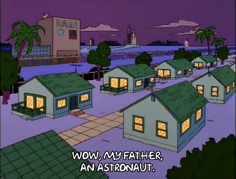 homer simpson GIF