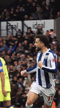 West Brom Wba GIF by West Bromwich Albion
