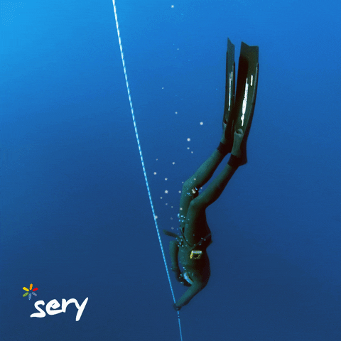 Sery-brand giphyupload brand agency austria GIF