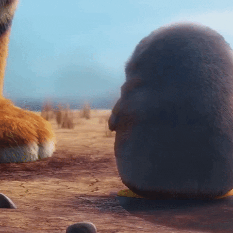 tatprod cute film baby penguin GIF