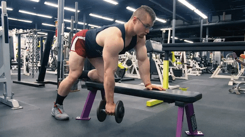 top10pulse giphyupload fitness workout body sculpting protocols GIF