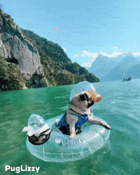 Vacation Enjoy GIF
