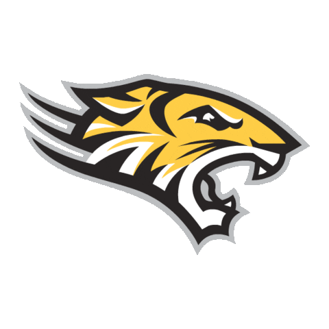 Football Basketball Sticker by Towson University for iOS & Android | GIPHY