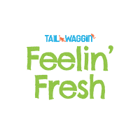 Pet Grooming Sticker by Tail Waggin'