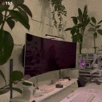 Pc Setup GIF