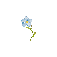 Blomma Sorg Sticker by Utan dig