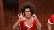 Snl GIF by Saturday Night Live