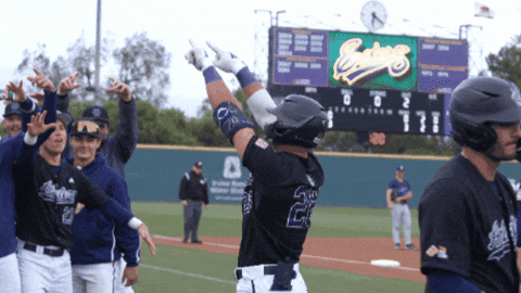 Baseball Anteaters GIF by UCI Athletics