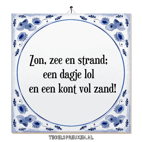 Wijsheid Lol Sticker by Tegelspreuken.nl