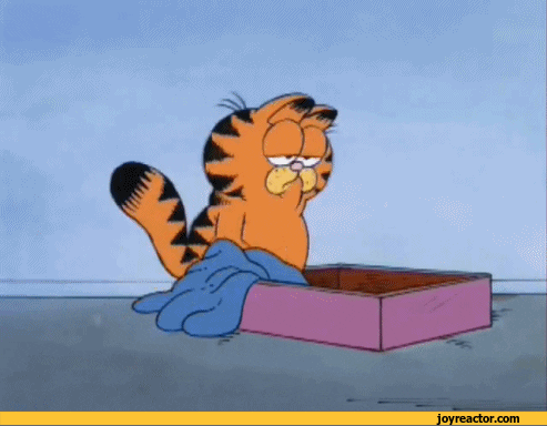 before and after GIF