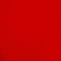 Bayer 04 Bundesliga GIF by Bayer 04 Leverkusen