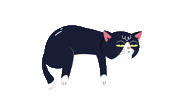 lofielgor music cat sleep chill Sticker