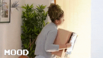 blossomdiy mood blossom at home firstmedia GIF