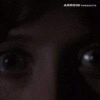 Lucio Fulci Horror GIF by Arrow Video