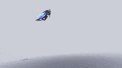 San Francisco Shock Fly GIF by NRG Esports & SF Shock