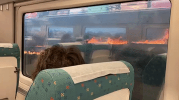 'Moments of Panic': Passengers Watch as Wildfire Encroaches on Train in Northwest Spain