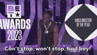 Can't Stop Won't Stop Bad Boy