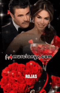 Vino Felicidad GIF by Murcianys LLC
