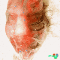Artificial Intelligence Argentina GIF