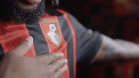 Premier League GIF by AFC Bournemouth