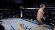 Sport Fall GIF by UFC