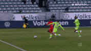 Football Sport GIF by VfL Wolfsburg