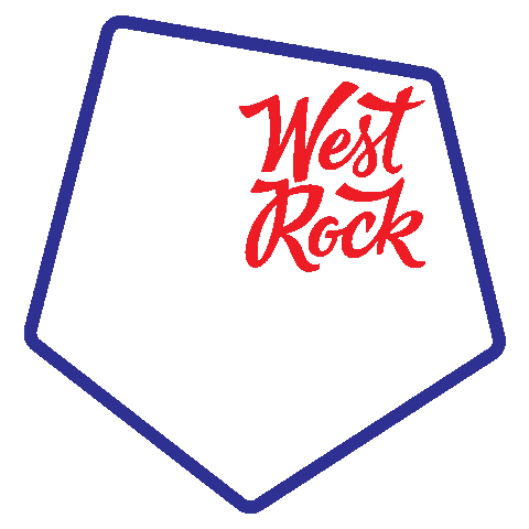 Chicago Wakeboard Sticker by STZ