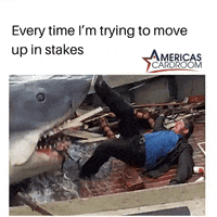 AmericasCardroom  GIF