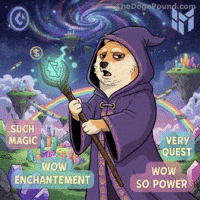 Shiba Inu Wow GIF by Doge Pound
