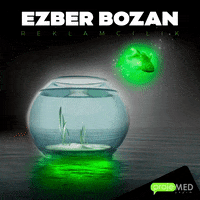 projemed agency ads reklam ajans GIF