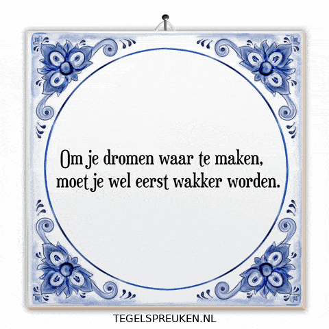 Humor Succes GIF by Tegelspreuken.nl