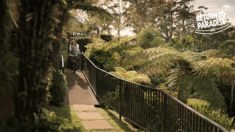 Chaos Slapstick Comedy GIF by Death In Paradise