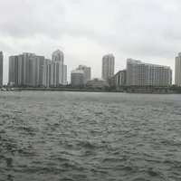 Strong Winds in Miami Caused by Outer Bands of Approaching Hurricane Irma