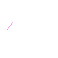 Pink Star Sticker