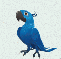 rio GIF