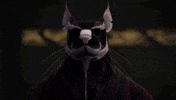 ju GIF