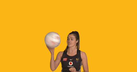 GIF by Wasps