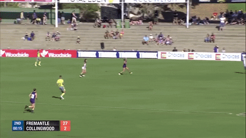 afl womens foreverfreo GIF by Fremantle Dockers
