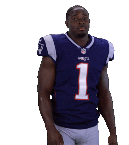 New England Patriots Stickers Sticker by NFL