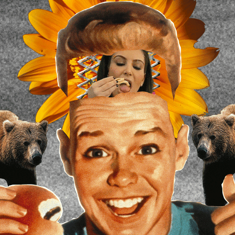 flowers collage GIF by Percolate Galactic