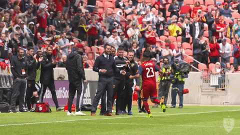 rslmarketing giphyupload soccer celebration mls GIF