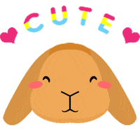 Heart Awww Sticker by rabbitomart