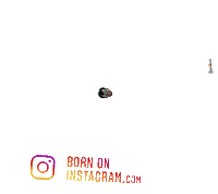 Digitalvishal1 Sticker by BORN ON INSTAGRAM