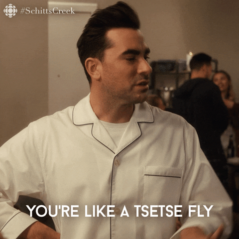 cbc giphyupload comedy rose fly GIF