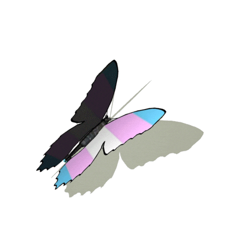PlusporaEmojis giphyupload GIF