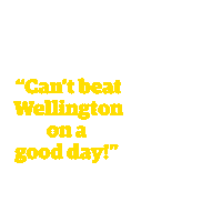 car city Sticker by WellingtonNZ