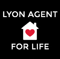 LyonRealEstate real estate lyon lyon real estate lyon agent GIF