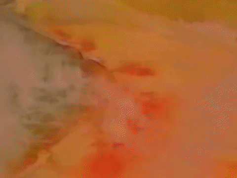 Gratitude GIF by Beastie Boys
